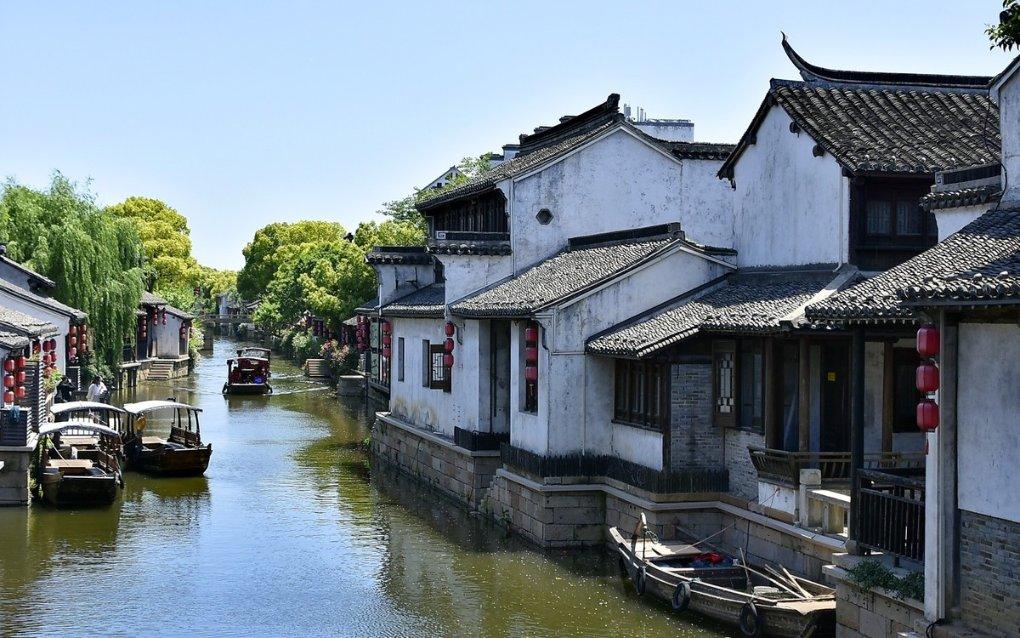 “天然叶酸”的五种蔬菜，建议中老年要多吃，强壮骨骼，远离疾病
